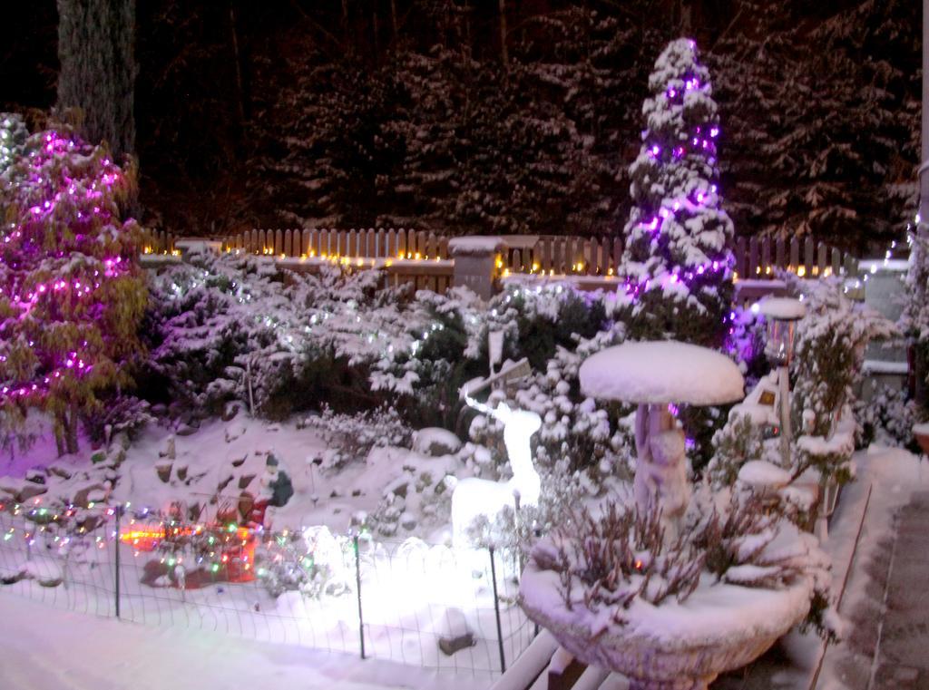 Villa Anastazis - Penzion Eden Karlovy Vary Dış mekan fotoğraf